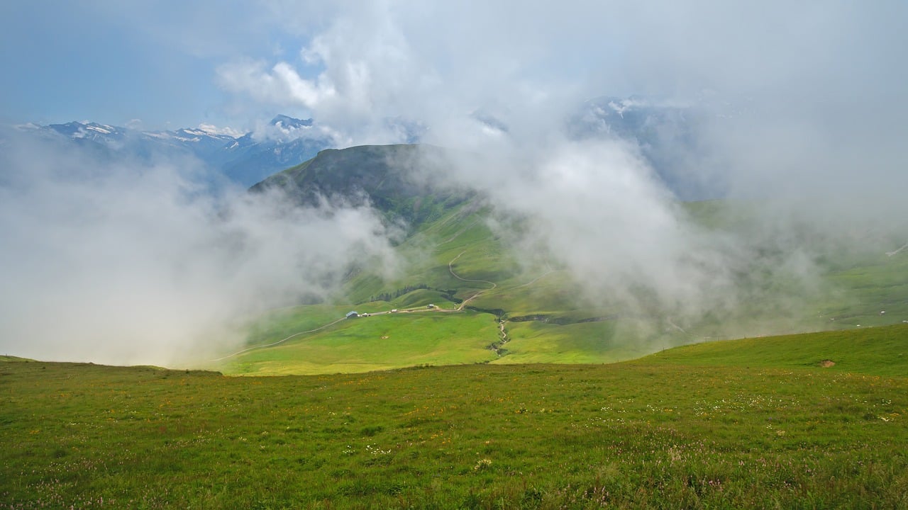 Safety in Hiking: Do You Know the Basics?